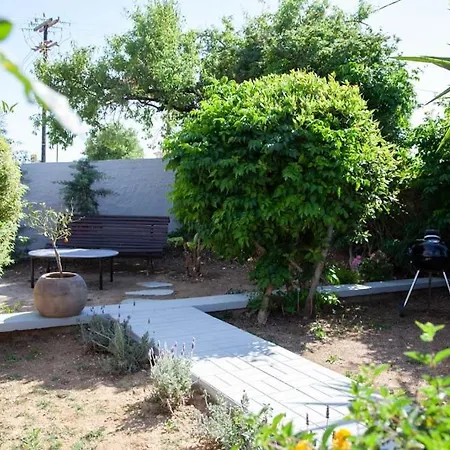 Primarosa * Metaxáta