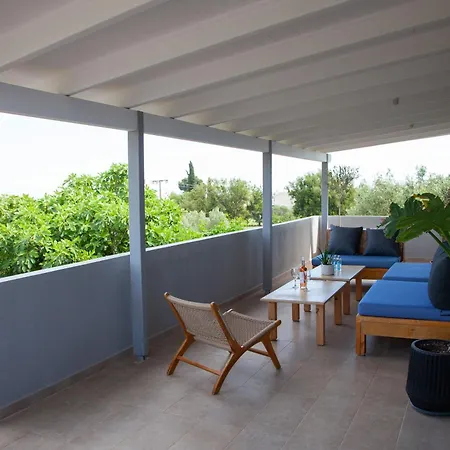 Primarosa * Metaxáta