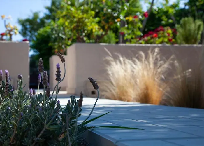 Primarosa Vila Metaxáta