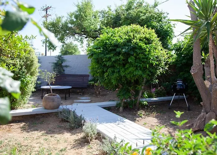 Primarosa * Metaxáta