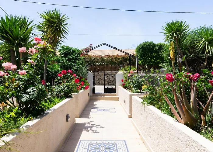 Primarosa * Metaxáta